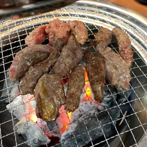 은행나무갈매기 사진