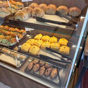 오지크로스 대표 사진