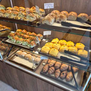 오지크로스 대표 사진