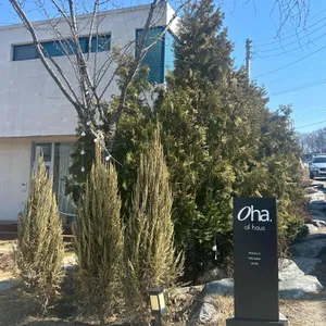 오하 라운지 리뷰 사진