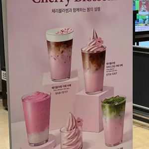 폴바셋 사진