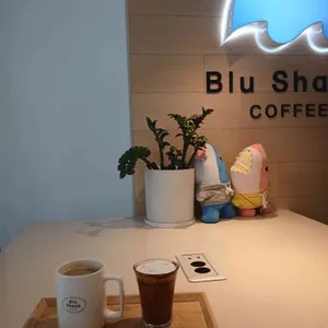 블루샥 대표 사진