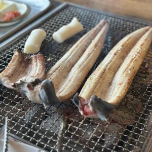 황토장어 대표 사진