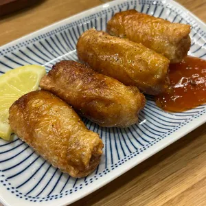 멘노아지 대표 사진