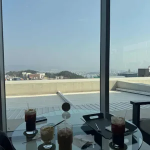 피트모스 대표 사진