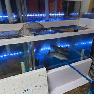 대황금어장 대표 사진