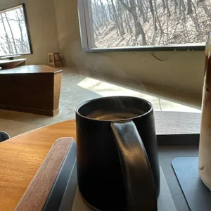 비다 대표 사진