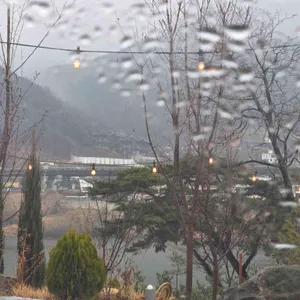브레드 쏭 대표 사진