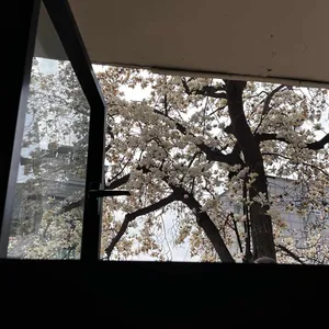 빈스코드 대표 사진