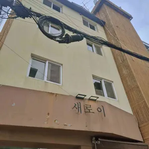 새로이 리뷰 사진