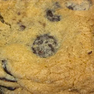 쿨키즈쿠키 사진 1