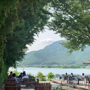 수수 대표 사진