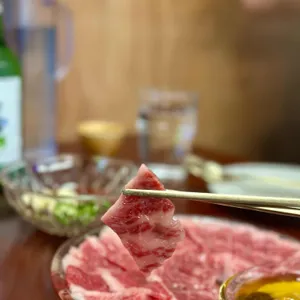 코끼리 대표 사진