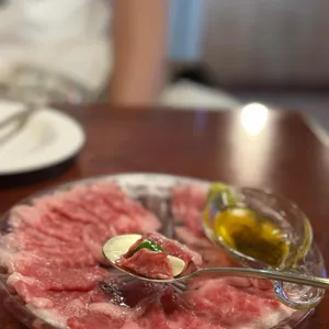 코끼리 대표 사진