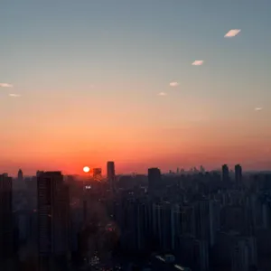 마키노차야 블랙31 대표 사진