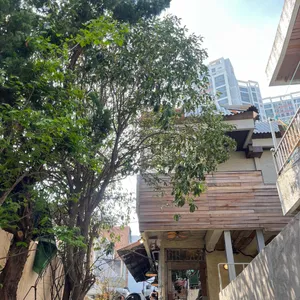 코코노이 사진 1