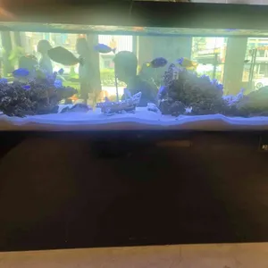 어나더사이드 대표 사진