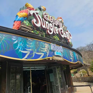 Cafe 정글캠프 사진