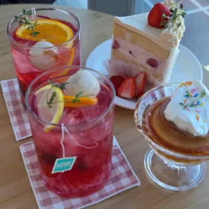 디어하우스 사진 1