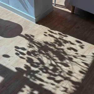 디어하우스 대표 사진