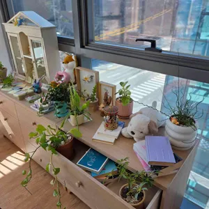 디어하우스 대표 사진