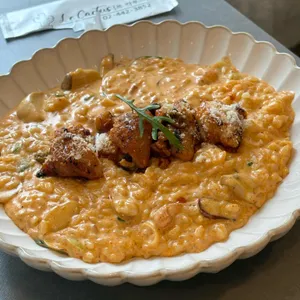 르칵투스 사진 1