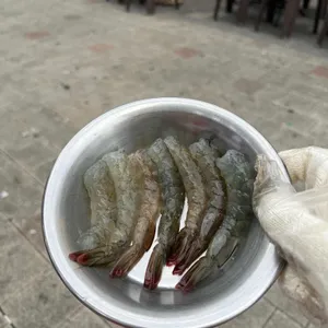 청춘회관 사진 1