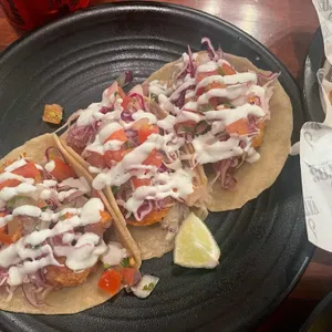 바토스 대표 사진