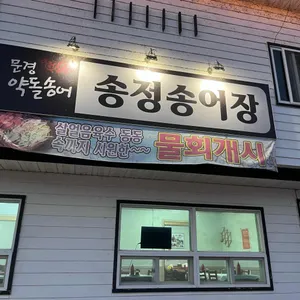 송정송어장 사진 2