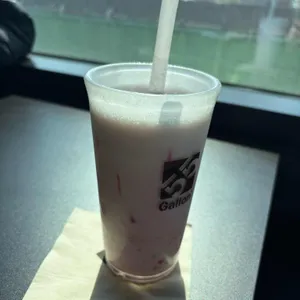 55갤런 사진