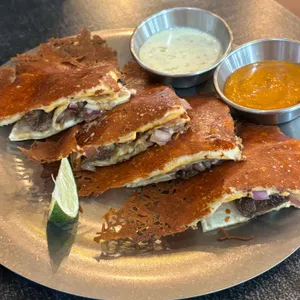 더타코부스 대표 사진