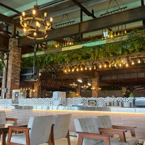 바리루스 대표 사진