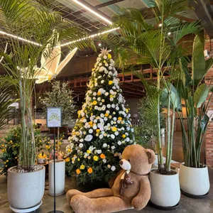 바리루스 대표 사진