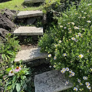 자드부팡 대표 사진