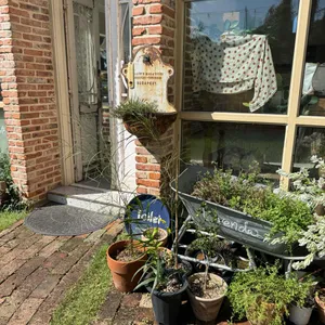 자드부팡 대표 사진