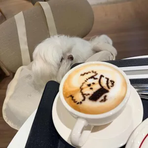 페이지온커피 사진