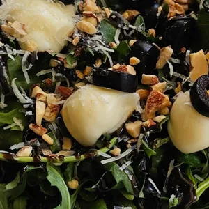 도글리 대표 사진