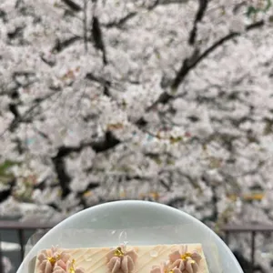 아눅앞산 사진 1