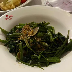 산씽 대표 사진