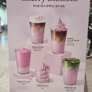 폴 바셋 대표 사진