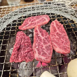 초원투뿔한우 사진