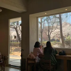 차느루 리뷰 사진