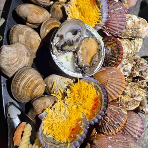 청춘조개 대표 사진