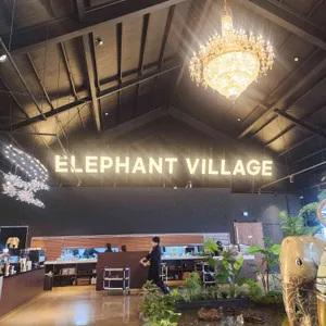 엘리펀트 빌리지 대표 사진