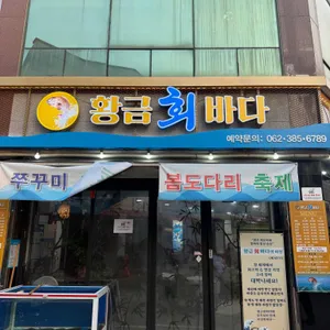 황금회바다 사진 2