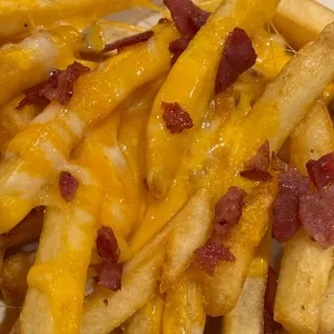 아웃백 대표 사진