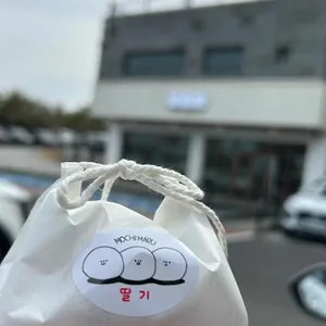 모찌마루 사진 1