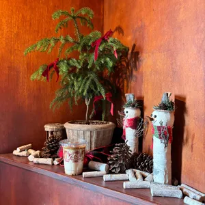 카페 툇마루 리뷰 사진