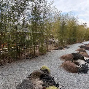 카페 툇마루 리뷰 사진