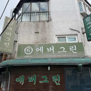 에버그린 사진 2